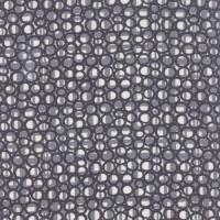 Gardenvale - Black Swan