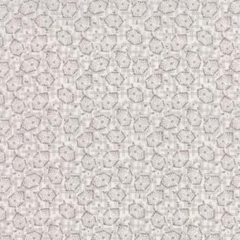 Behind The Scenes Geopop - Cygnet