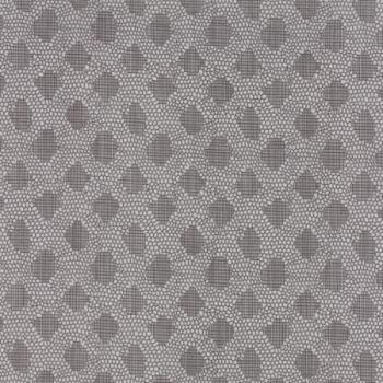 Behind The Scenes Lacey - White Rhino