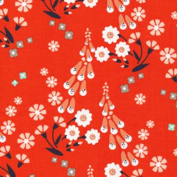 Foxglove - Foxgloves in Orange