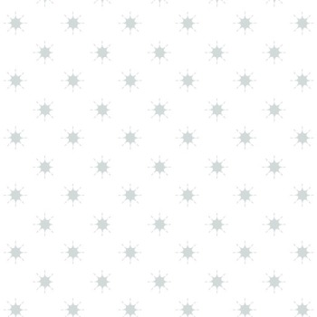 Northern Lights Star on White