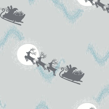 Northern Lights Santa's Sleigh on Silver