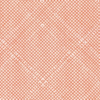 Euclid Essex - Check It in Tangerine