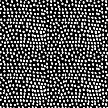 Dashwood Studios Flurry Black