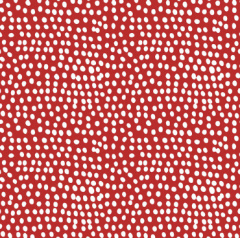 Dashwood Studios Flurry Spice